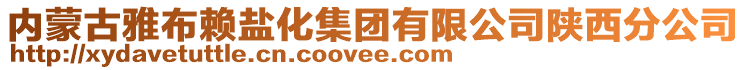 內蒙古雅布賴鹽化集團有限公司陜西分公司