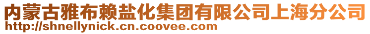 內(nèi)蒙古雅布賴鹽化集團(tuán)有限公司上海分公司