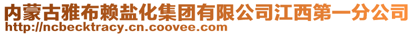 內(nèi)蒙古雅布賴鹽化集團(tuán)有限公司江西第一分公司