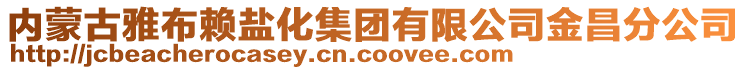 内蒙古雅布赖盐化集团有限公司金昌分公司