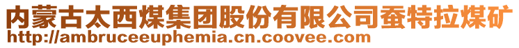 內(nèi)蒙古太西煤集團(tuán)股份有限公司蠶特拉煤礦