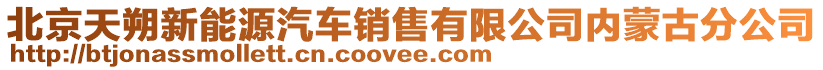 北京天朔新能源汽車銷售有限公司內(nèi)蒙古分公司