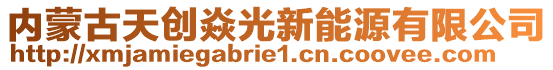 内蒙古天创焱光新能源有限公司