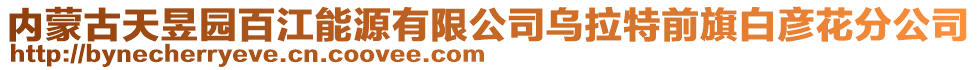 内蒙古天昱园百江能源有限公司乌拉特前旗白彦花分公司