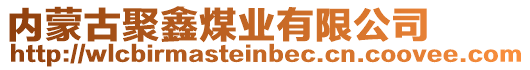 內(nèi)蒙古聚鑫煤業(yè)有限公司