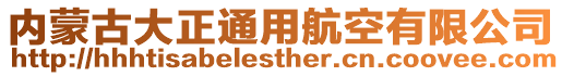 內(nèi)蒙古大正通用航空有限公司