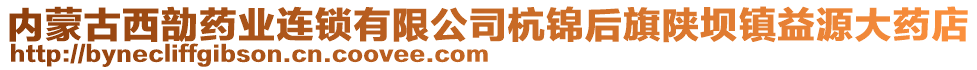 內(nèi)蒙古西勏藥業(yè)連鎖有限公司杭錦后旗陜壩鎮(zhèn)益源大藥店