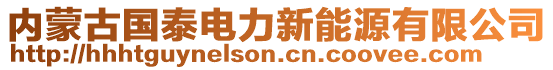 內(nèi)蒙古國(guó)泰電力新能源有限公司