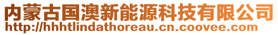 內(nèi)蒙古國澳新能源科技有限公司