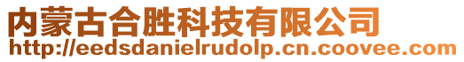 內(nèi)蒙古合勝科技有限公司