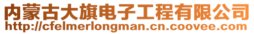 內蒙古大旗電子工程有限公司