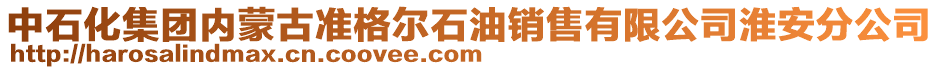 中石化集團(tuán)內(nèi)蒙古準(zhǔn)格爾石油銷售有限公司淮安分公司