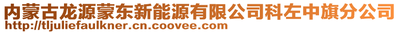 內蒙古龍源蒙東新能源有限公司科左中旗分公司