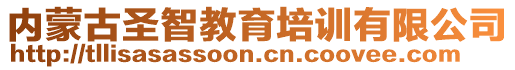 內(nèi)蒙古圣智教育培訓(xùn)有限公司