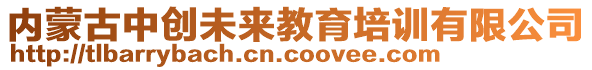 內(nèi)蒙古中創(chuàng)未來(lái)教育培訓(xùn)有限公司