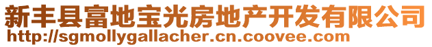 新豐縣富地寶光房地產(chǎn)開發(fā)有限公司