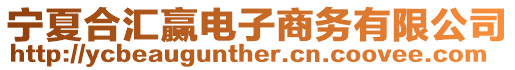 寧夏合匯贏電子商務(wù)有限公司