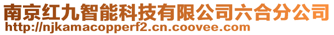 南京紅九智能科技有限公司六合分公司