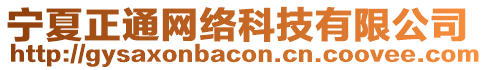 寧夏正通網(wǎng)絡(luò)科技有限公司