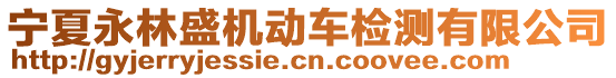 寧夏永林盛機動車檢測有限公司