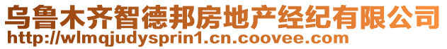 烏魯木齊智德邦房地產(chǎn)經(jīng)紀(jì)有限公司