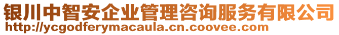 銀川中智安企業(yè)管理咨詢服務(wù)有限公司