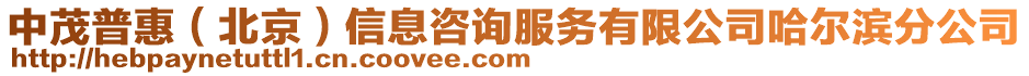 中茂普惠（北京）信息咨詢服務有限公司哈爾濱分公司