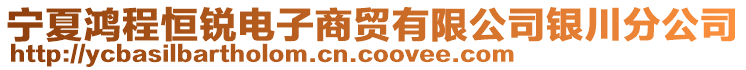 寧夏鴻程恒銳電子商貿(mào)有限公司銀川分公司