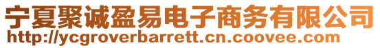 寧夏聚誠(chéng)盈易電子商務(wù)有限公司