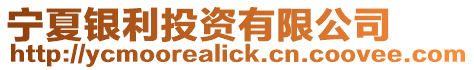 寧夏銀利投資有限公司