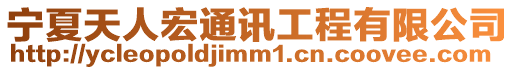 寧夏天人宏通訊工程有限公司