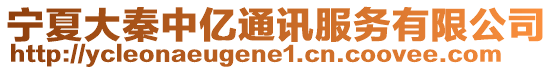 寧夏大秦中億通訊服務有限公司