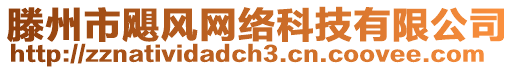 滕州市颶風(fēng)網(wǎng)絡(luò)科技有限公司