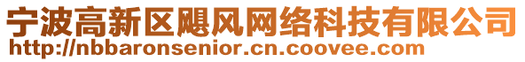 寧波高新區(qū)颶風(fēng)網(wǎng)絡(luò)科技有限公司