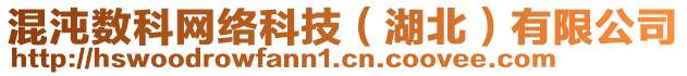 混沌數(shù)科網(wǎng)絡(luò)科技（湖北）有限公司