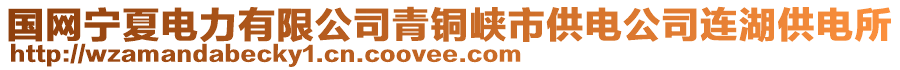 国网宁夏电力有限公司青铜峡市供电公司连湖供电所