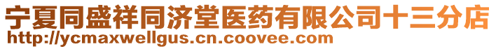 寧夏同盛祥同濟堂醫(yī)藥有限公司十三分店