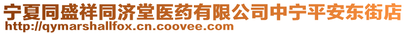 寧夏同盛祥同濟(jì)堂醫(yī)藥有限公司中寧平安東街店