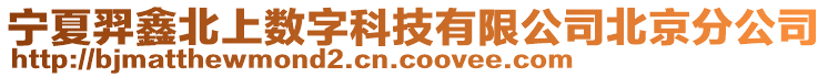 寧夏羿鑫北上數(shù)字科技有限公司北京分公司