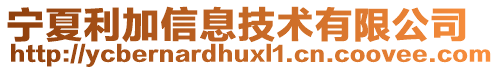 寧夏利加信息技術(shù)有限公司