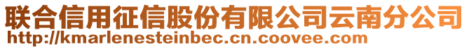 聯(lián)合信用征信股份有限公司云南分公司