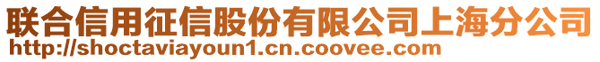 聯(lián)合信用征信股份有限公司上海分公司