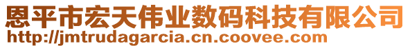 恩平市宏天偉業(yè)數(shù)碼科技有限公司