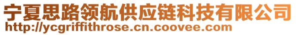 寧夏思路領航供應鏈科技有限公司