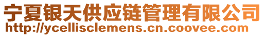 寧夏銀天供應(yīng)鏈管理有限公司