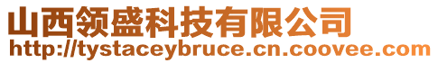 山西領(lǐng)盛科技有限公司