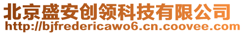 北京盛安創(chuàng)領(lǐng)科技有限公司