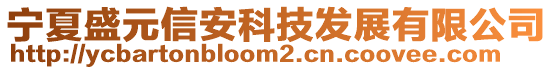 寧夏盛元信安科技發(fā)展有限公司