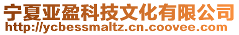 寧夏亞盈科技文化有限公司