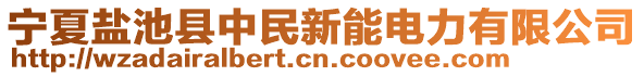 寧夏鹽池縣中民新能電力有限公司